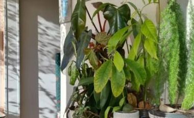 Venta Departamento 3 Ambientes en Caballito Edificio de Categoria Cochera