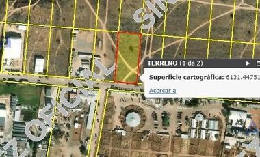 TERRENO EN VENTA EN SAN FRANCISCO DE LOS ROMO DESARROLLO AGROPECUARIO LA TRINIDAD