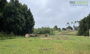 Agrícola en Venta en Sector Daitao, a 16 km de ruta V-891.