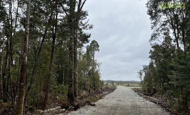 Agrícola en Venta en Sector Daitao, a 16 km de ruta V-891.