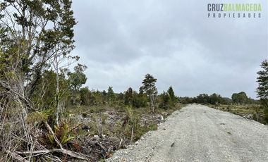 Agrícola en Venta en Sector Daitao, a 16 km de ruta V-891.