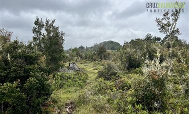 Agrícola en Venta en Sector Daitao, a 16 km de ruta V-891.