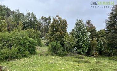 Agrícola en Venta en Sector Daitao, a 16 km de ruta V-891.