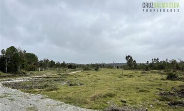 Agrícola en Venta en Sector Daitao, a 16 km de ruta V-891.