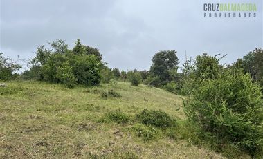 Agrícola en Venta en Sector Daitao, a 16 km de ruta V-891.