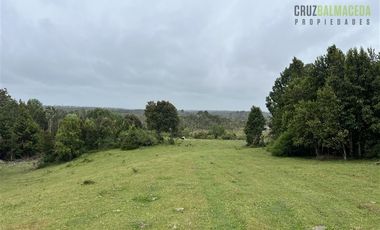 Agrícola en Venta en Sector Daitao, a 16 km de ruta V-891.