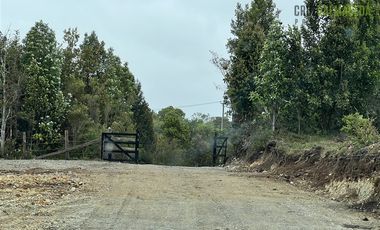 Agrícola en Venta en Sector Daitao, a 16 km de ruta V-891.