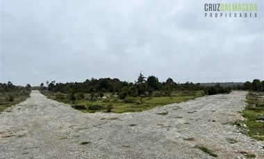 Agrícola en Venta en Sector Daitao, a 16 km de ruta V-891.