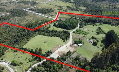 Agrícola en Venta en Sector Daitao, a 16 km de ruta V-891.