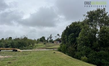 Agrícola en Venta en Sector Daitao, a 16 km de ruta V-891.