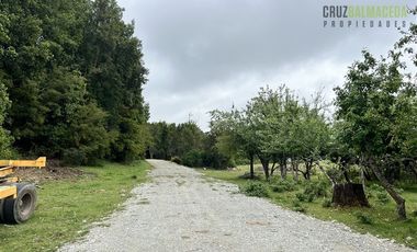 Agrícola en Venta en Sector Daitao, a 16 km de ruta V-891.