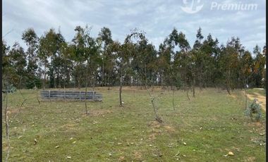 Parcela en Venta en PROYECTO MEGA PARCELAS SENDEROS DE CAHUIL