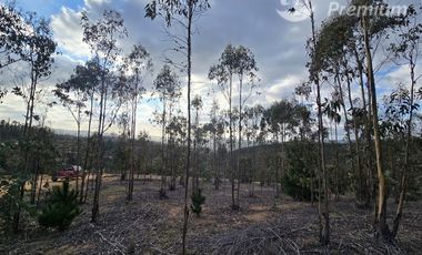 Parcela en Venta en PROYECTO MEGA PARCELAS SENDEROS DE CAHUIL