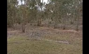 Parcela en Venta en PROYECTO MEGA PARCELAS SENDEROS DE CAHUIL