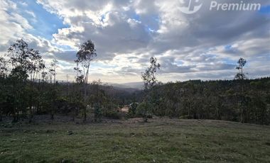 Parcela en Venta en PROYECTO MEGA PARCELAS SENDEROS DE CAHUIL