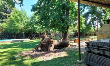 Venta Casa Multifamiliar o Quinta 2000 m2 -Delviso