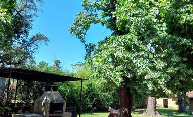 Venta Casa Multifamiliar o Quinta 2000 m2 -Delviso