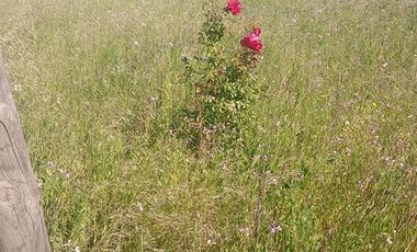 Sitio en Venta en numpay