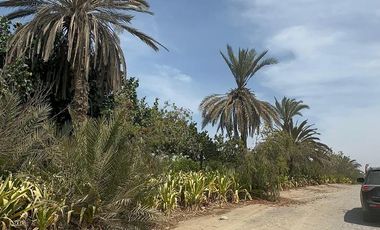 Casa en Paracas CONDOMINIO ACCA