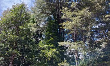 SECTOR PINO HUACHO LICAN RAY, 5000 MTS CON ROL