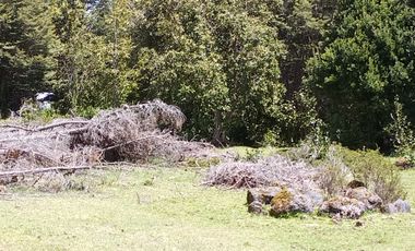 SECTOR PINO HUACHO LICAN RAY, 5000 MTS CON ROL