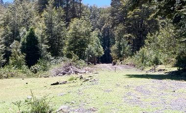 SECTOR PINO HUACHO LICAN RAY, 5000 MTS CON ROL