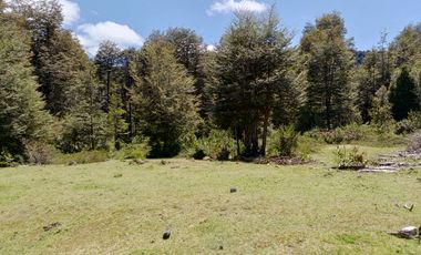 SECTOR PINO HUACHO LICAN RAY, 5000 MTS CON ROL