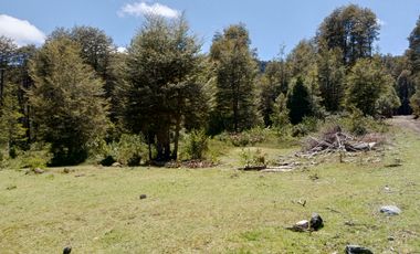 SECTOR PINO HUACHO LICAN RAY, 5000 MTS CON ROL