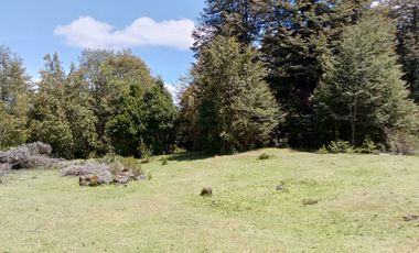 SECTOR PINO HUACHO LICAN RAY, 5000 MTS CON ROL