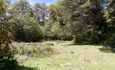 SECTOR PINO HUACHO LICAN RAY, 5000 MTS CON ROL