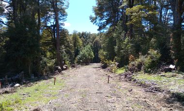 SECTOR PINO HUACHO LICAN RAY, 5000 MTS CON ROL