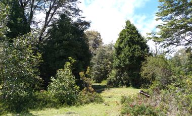 SECTOR PINO HUACHO LICAN RAY, 5000 MTS CON ROL