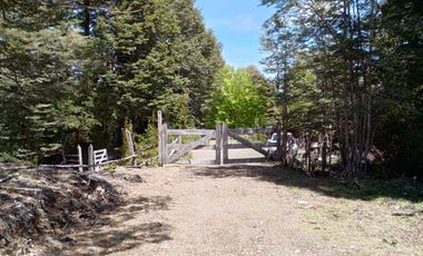 SECTOR PINO HUACHO LICAN RAY, 5000 MTS CON ROL