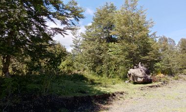 SECTOR PINO HUACHO LICAN RAY, 5000 MTS CON ROL