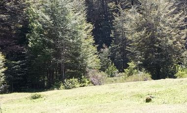 SECTOR PINO HUACHO LICAN RAY, 5000 MTS CON ROL