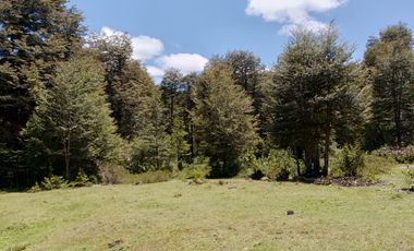 SECTOR PINO HUACHO LICAN RAY, 5000 MTS CON ROL