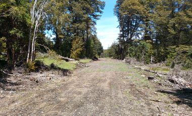 SECTOR PINO HUACHO LICAN RAY, 5000 MTS CON ROL