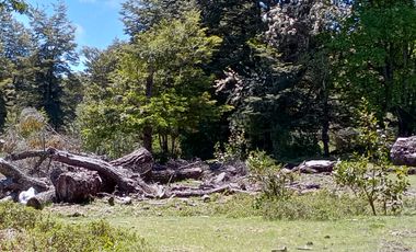 SECTOR PINO HUACHO LICAN RAY, 5000 MTS CON ROL