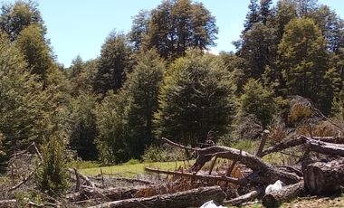 SECTOR PINO HUACHO LICAN RAY, 5000 MTS CON ROL