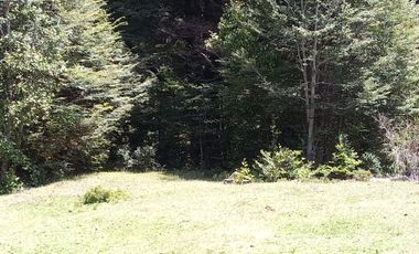 SECTOR PINO HUACHO LICAN RAY, 5000 MTS CON ROL