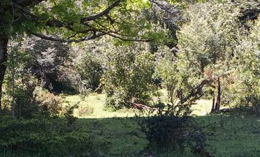 SECTOR PINO HUACHO LICAN RAY, 5000 MTS CON ROL