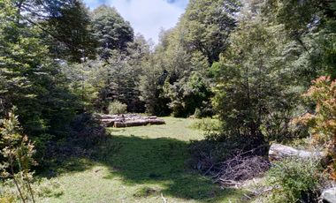 SECTOR PINO HUACHO LICAN RAY, 5000 MTS CON ROL