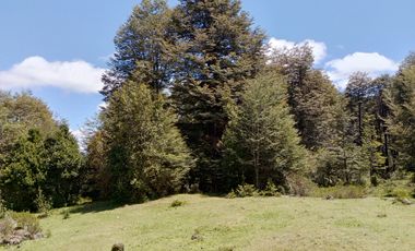 SECTOR PINO HUACHO LICAN RAY, 5000 MTS CON ROL