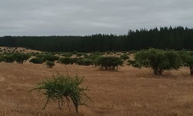 TERRENO PLANO  IDEAL PARA INVERSIÓN SEGURA