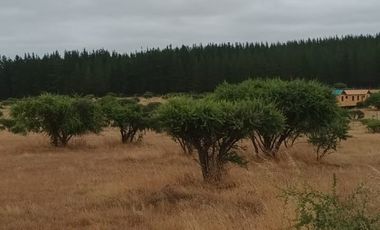 TERRENO PLANO  IDEAL PARA INVERSIÓN SEGURA