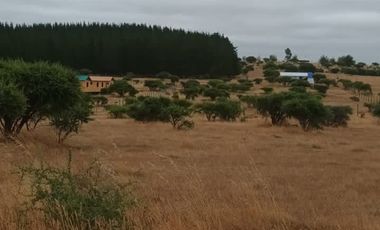 TERRENO PLANO  IDEAL PARA INVERSIÓN SEGURA