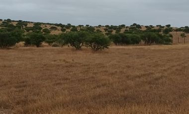 TERRENO PLANO  IDEAL PARA INVERSIÓN SEGURA