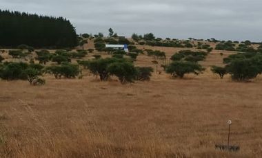 TERRENO PLANO  IDEAL PARA INVERSIÓN SEGURA