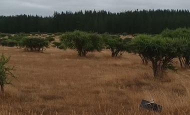 TERRENO PLANO  IDEAL PARA INVERSIÓN SEGURA