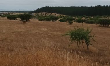 TERRENO PLANO  IDEAL PARA INVERSIÓN SEGURA